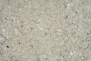 Carib Sea Ocean Direct -Original Grade песок живой арагонитовый 0.25-6.5мм 18.14кг - Кликните на картинке чтобы закрыть